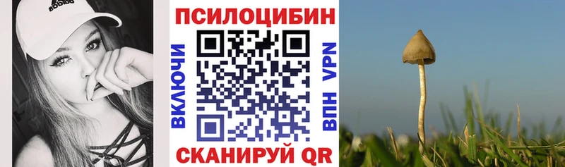 Галлюциногенные грибы GOLDEN TEACHER  как найти наркотики  Бавлы 